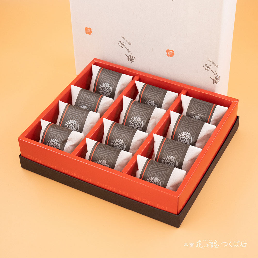 【早い者勝ち】使用済みレトロ封筒 アソートコレクション42枚 勝喜梅・極 はちみつ仕立て12包 – 菓寮・花小路つくば店