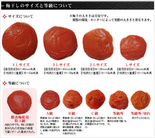 画像をギャラリービューアに読み込む, てとら・はちみつ仕立て 6包【人気のまろやか梅干・手頃なお土産】